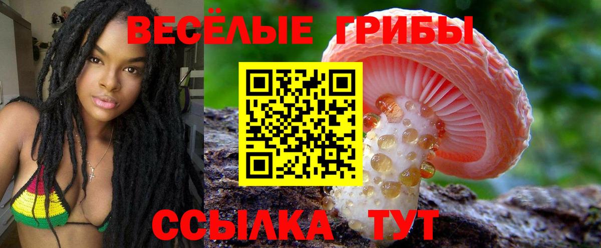 где купить наркотик  Вход с VPN  Благовещенск  Псилоцибиновые грибы Psilocybine cubensis  Псилоцибиновые грибы Psilocybe 
